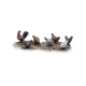 Les petits lapins Grappe 1