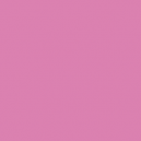 Squid Pink (17mL)