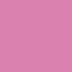 Squid Pink (17mL)