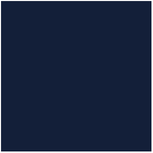 Night Blue, Bleu Nuit (17mL)