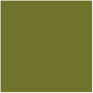 Camouflage Green, Vert Camouflage (17mL)