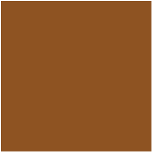 Peinture Métallique : Bright Bronze, Bronze Clair (17mL)