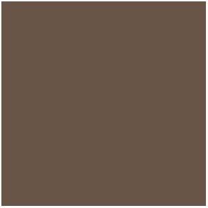 Lavis Ombre, Umber Wash (17mL)