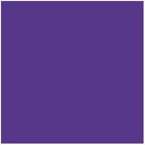 Encre Violette, Violet Ink (17mL)
