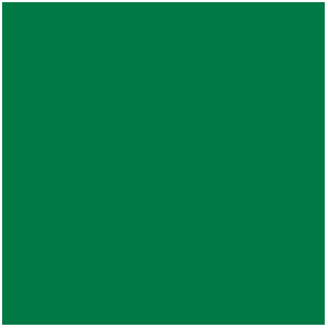 Encre : Green (17mL)
