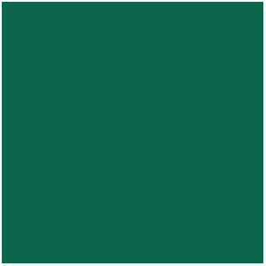 Encre : Black Green (17mL)