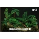 Photo Découpe Plantes Jungle (N°3) 1:35 MINISOCLES