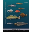 Set de poissons marins 2 (x9) Echelle 54mm