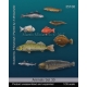 Set d'animaux méditerranéens et africains (x9) Echelle 54mm