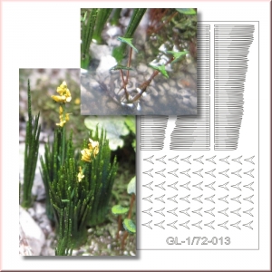 Photo Découpe Plantes Aquatiques 1:72 Assortiment N°2