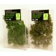 Arbres miniatures (X3)