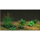 Photo Découpe Six Plantes 1:72 MINISOCLES