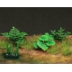 Photo Découpe Six Plantes 1:72 MINISOCLES