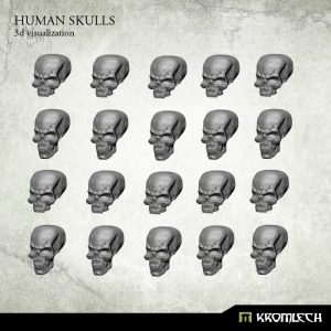 Crânes humains 28-32mm (x20)