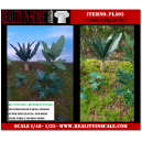 Kit Résine + Photo Découpe Papier Plantes Jungle (N°2) 1:35