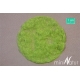 Herbe statique courte, 