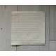 Lingette absorbante (20x20cm)