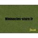 Herbe statique courte, 