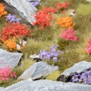 Set de fleurs des jardins (6mm)