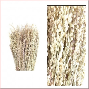 Herbes Naturelles Séchées N°4