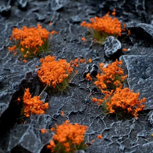 Fleurs oranges (6mm)