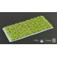 Touffes de mauvaises herbes / petits buissons verts clairs (GREEN SHRUBS GAMERS GRASS)