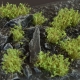 Touffes de mauvaises herbes / petits buissons vert foncé (DARK GREEN SHRUBS GAMERS GRASS)