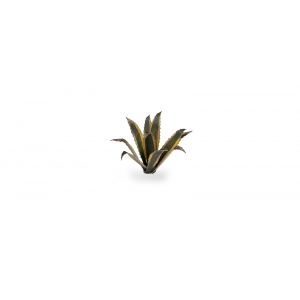 Plantes en Photo Découpe Papier GAMERS GRASS (Agave)