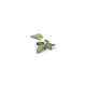 Plantes en Photo Découpe Papier GAMERS GRASS (Elephant Ear)