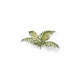 Plantes en Photo Découpe Papier GAMERS GRASS (Bracken)