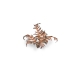 Plantes en Photo Découpe Papier GAMERS GRASS (Dry Bracken)
