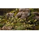 Plantes en Photo Découpe Papier GAMERS GRASS (Deer Fern)