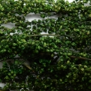 Herbes Naturelles Séchées N°3 Vert Moyen