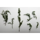 Herbes Naturelles Séchées N°3 Vert Moyen