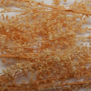 Herbes Naturelles Séchées N°3 Paille