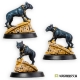 Chats/Familiers Egyptiens ou Xenos (x2)