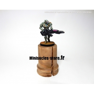 Socle Unique Photinia (F)