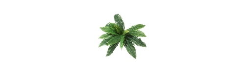 Petites Plantes (Ech. 1:72 et -)