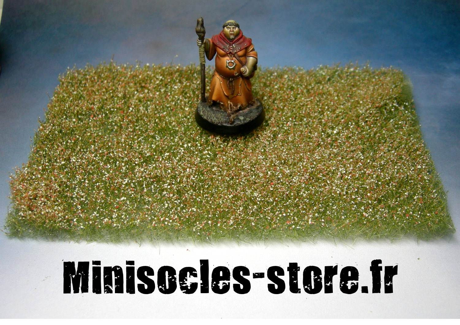 fleurs miniatures polak MINISOCLES