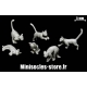 Les petits lapins Grappe 1