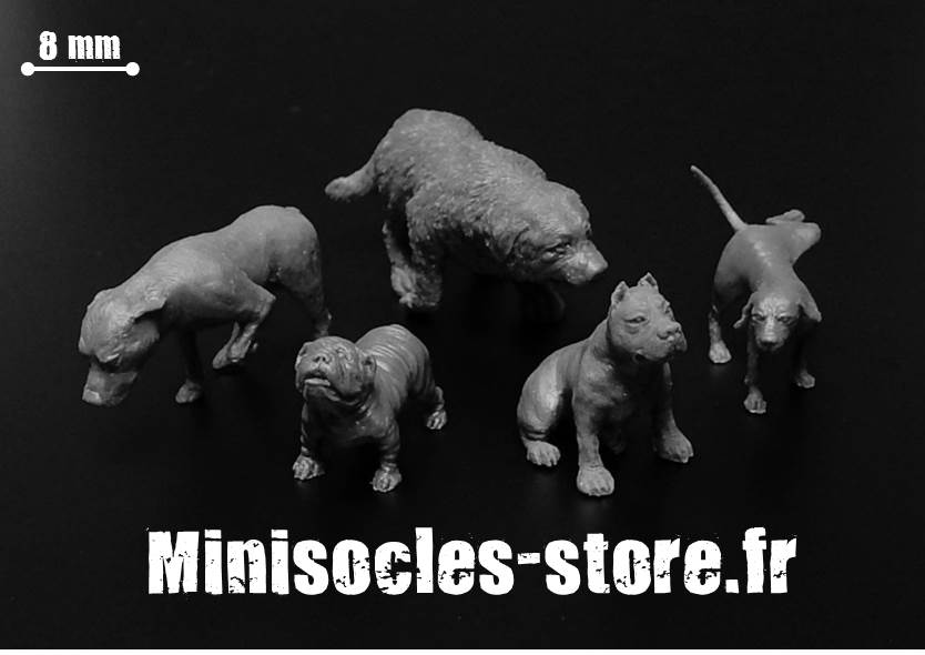 Figurines chiens 28 32mm MINISOCLES